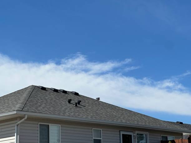 Best Asphalt Shingle Roofing  in Hazen, AR